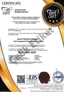 ISO 14001 Environmental Management System certificate